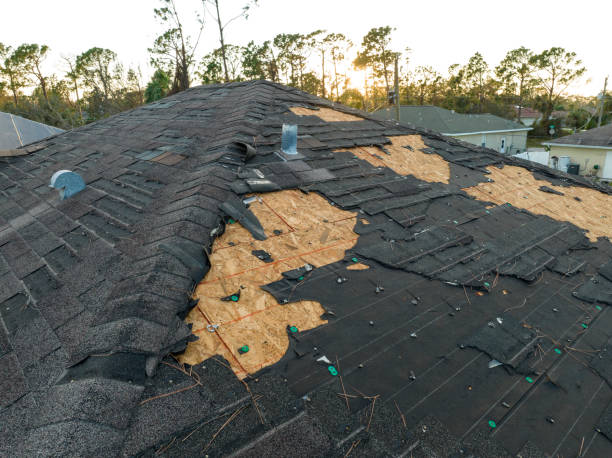 Best Solar Panel Roofing Installation  in Hoxie, AR